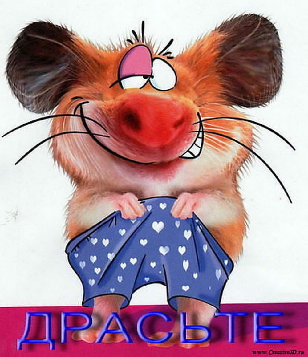 Креативный апельсин