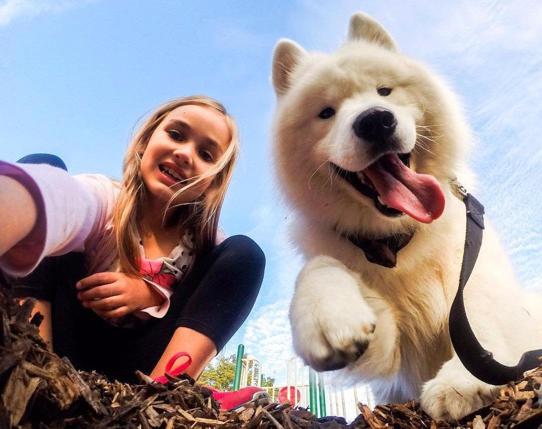 Приколы для поднятия настроения