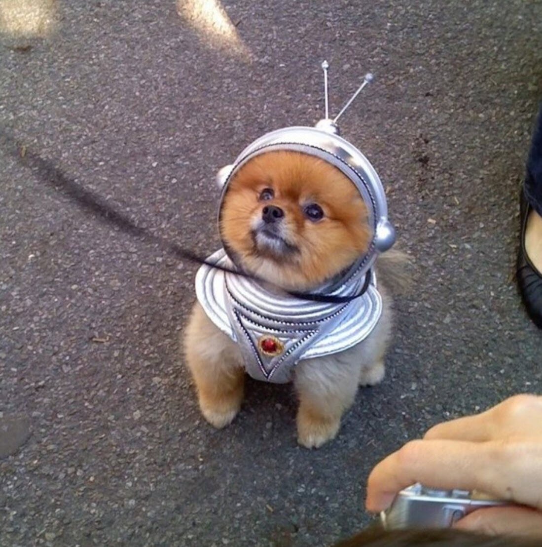 Позитивные рисунки для поднятия настроения