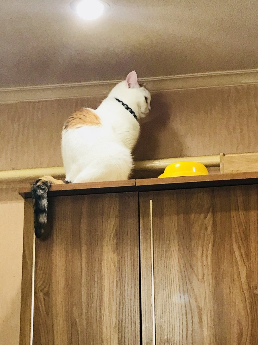 Смешные детские картинки для поднятия настроения