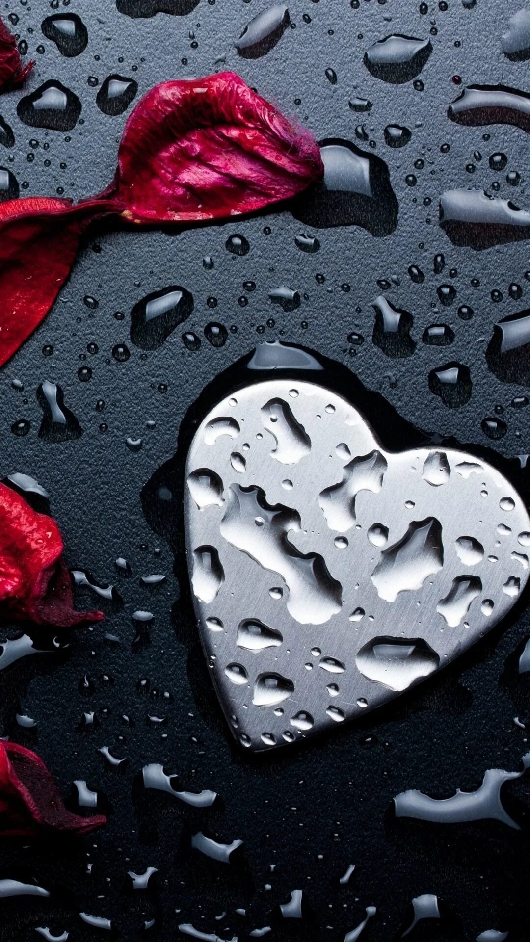 Обои для iphone 5se