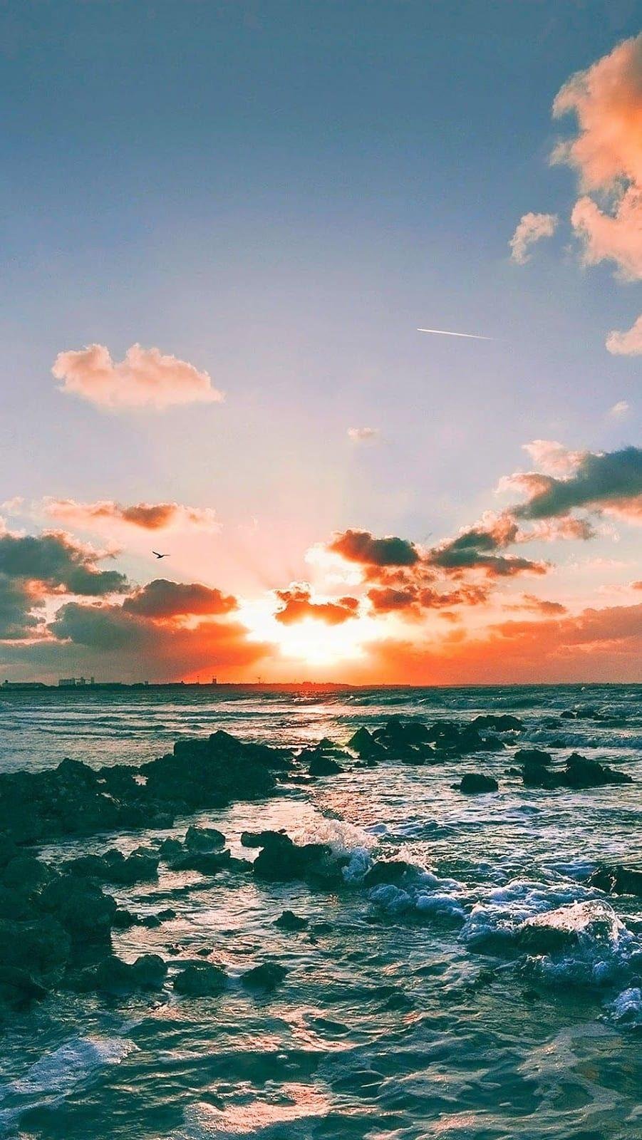 Apple iphone 12 Pro Max заставка