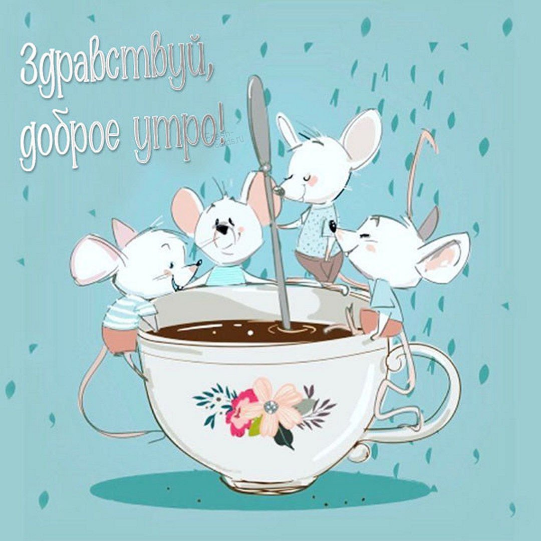 Иллюстратор Elena Barenbaum