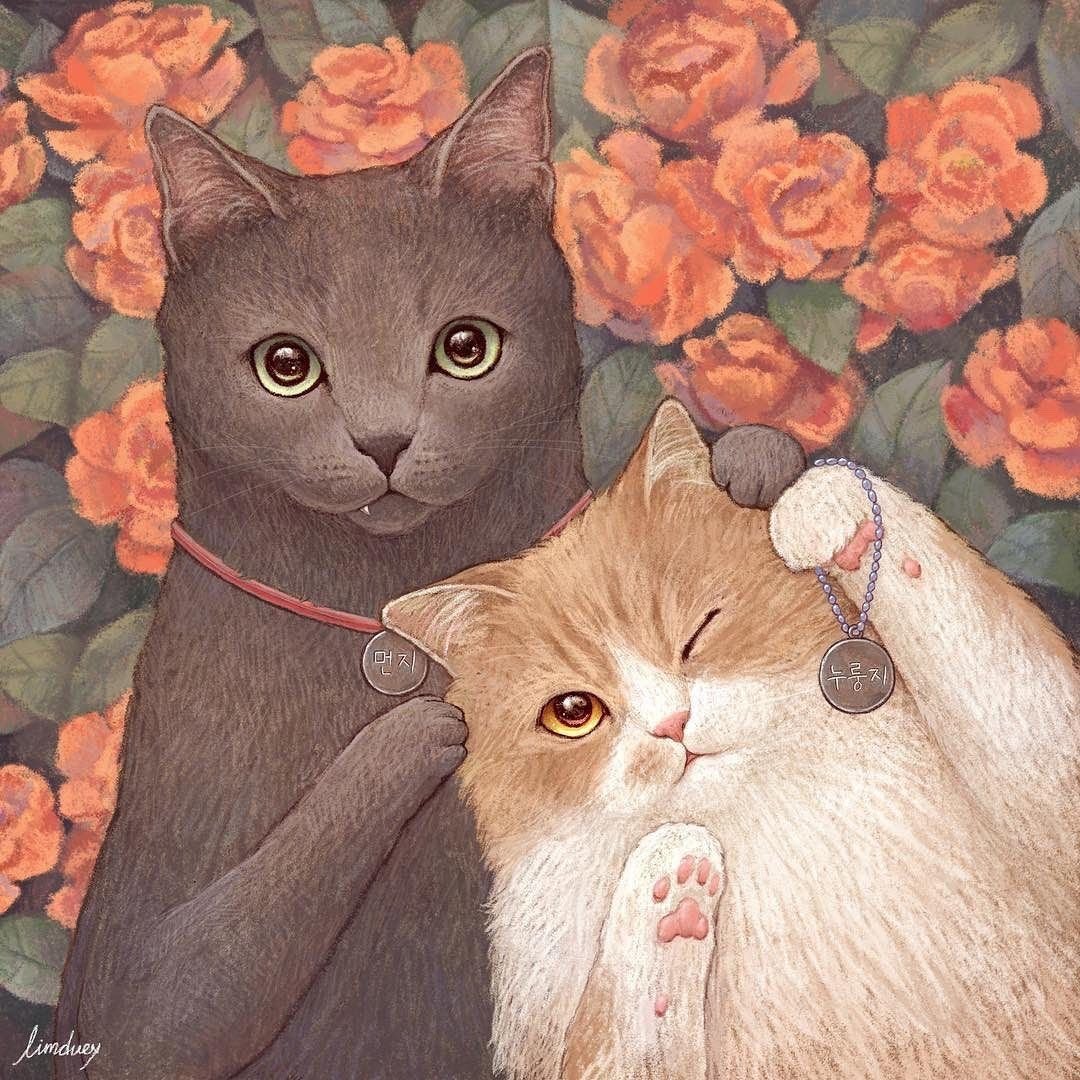 Кошачий мир корейской художницы limduey