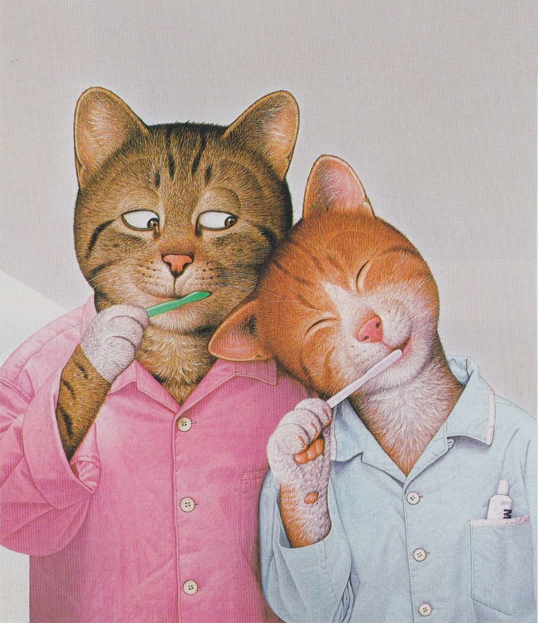 Семейная пара котов