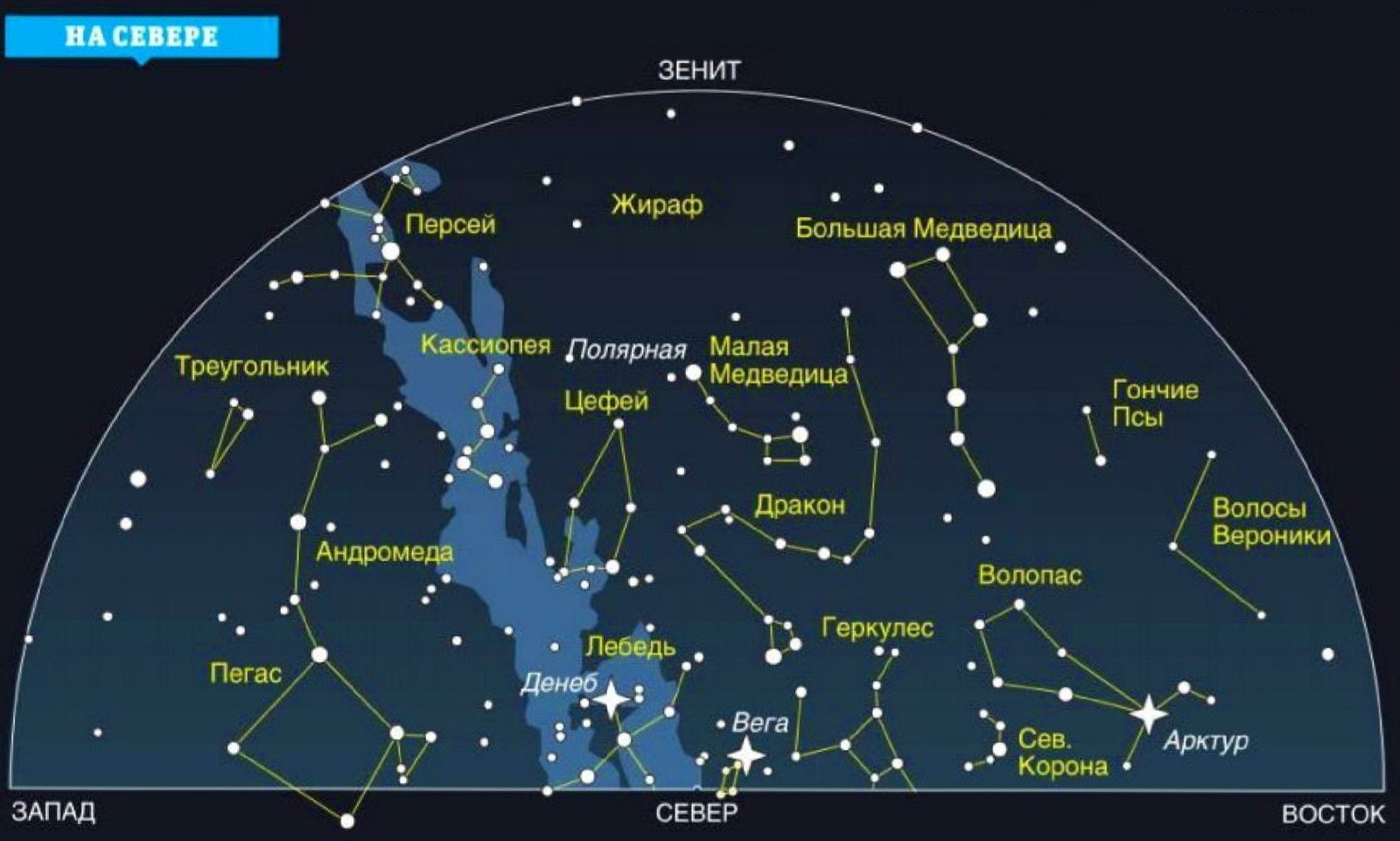 Сколько всего созвездий на небе. Созвездия Галактики Млечный путь. Карта созвездий Млечного пути. Самые известные созвездия. Схемы созвездий и их названия.