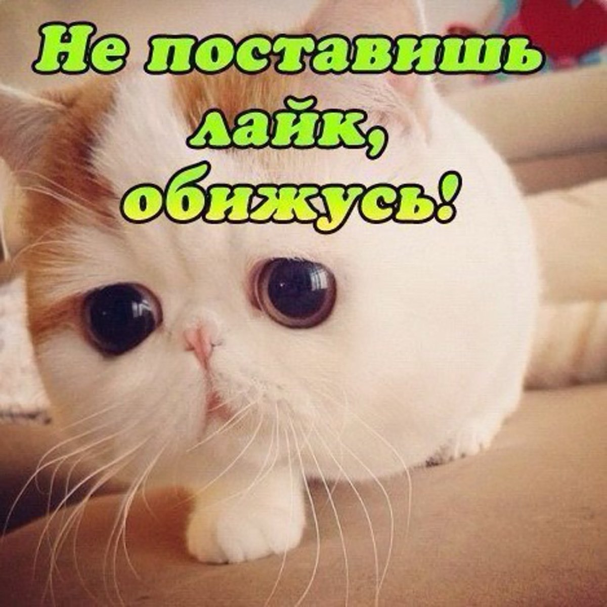 День рождения Варвары поздравления