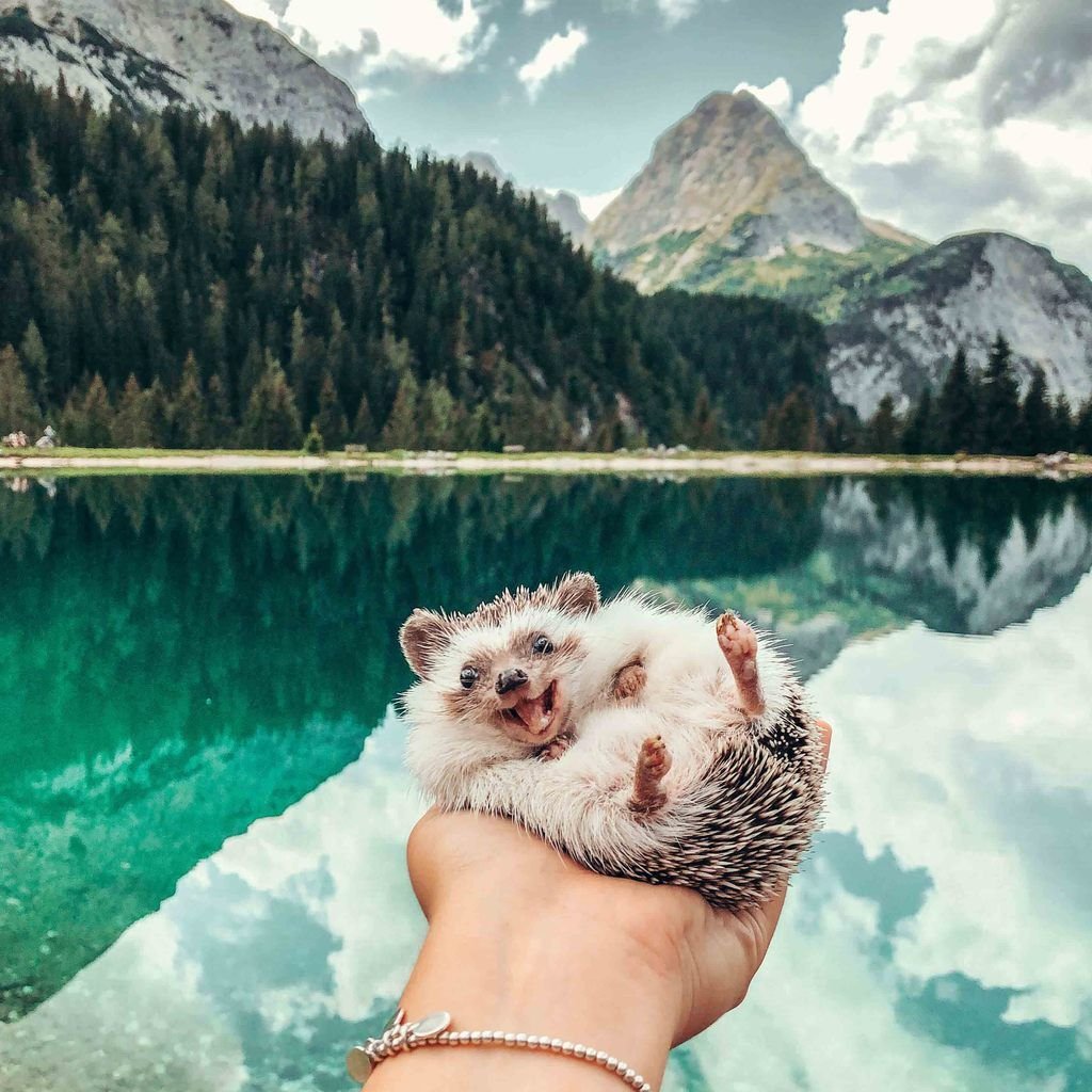 Вдохновляющие картиночки