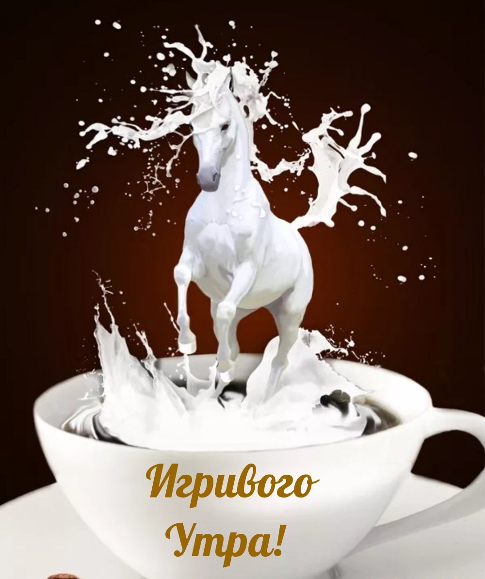 Доброе утро с лошадьми