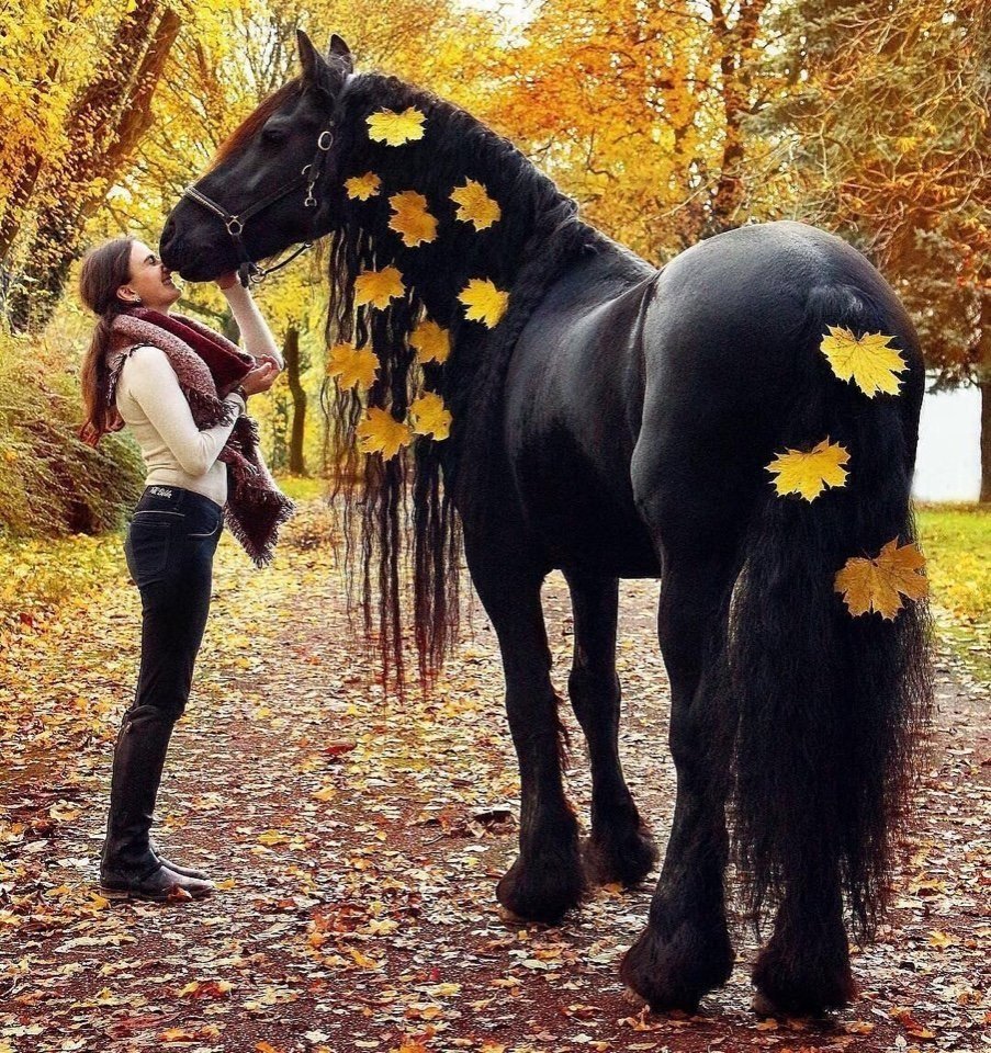Белые лошади в природе