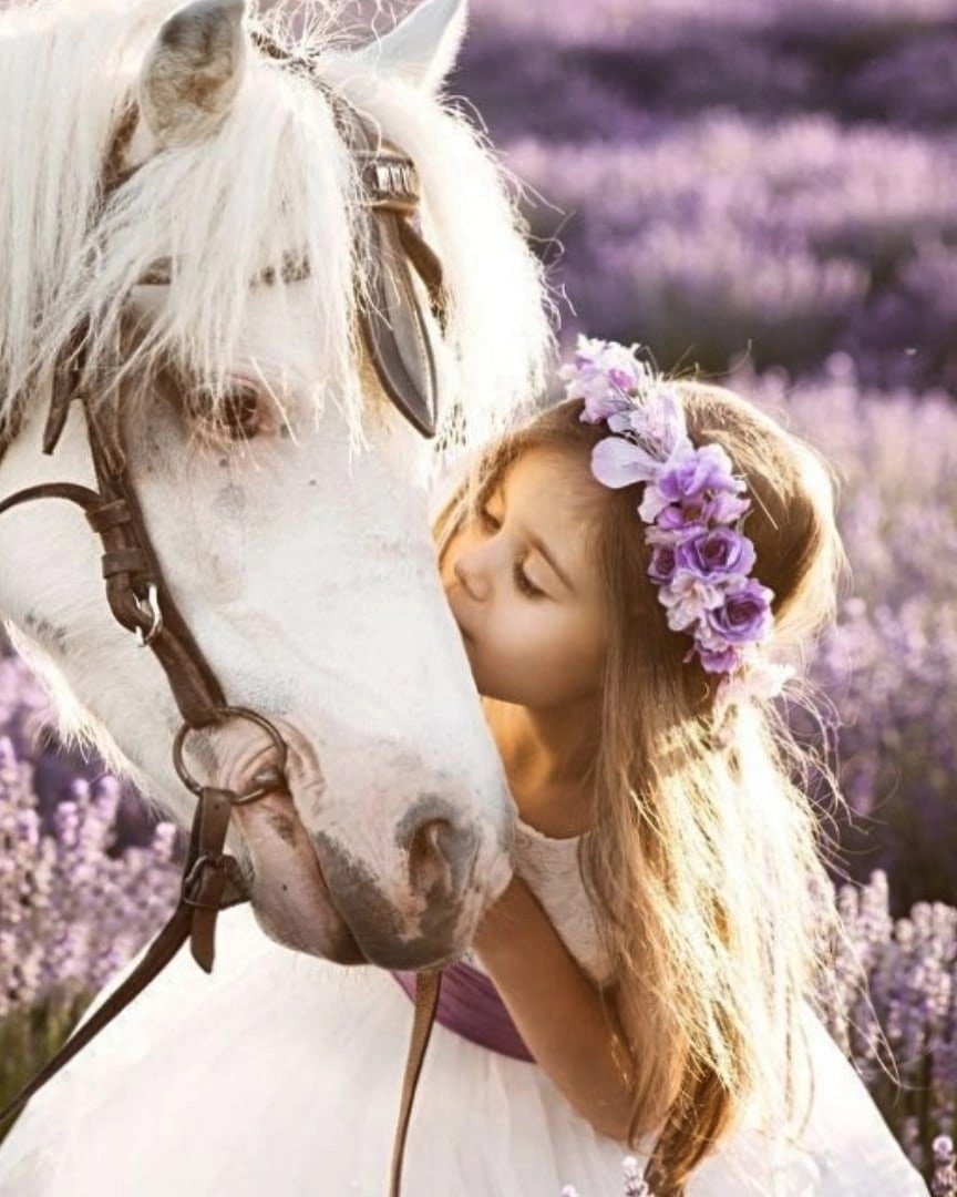 Красивые высказывания о лошадях