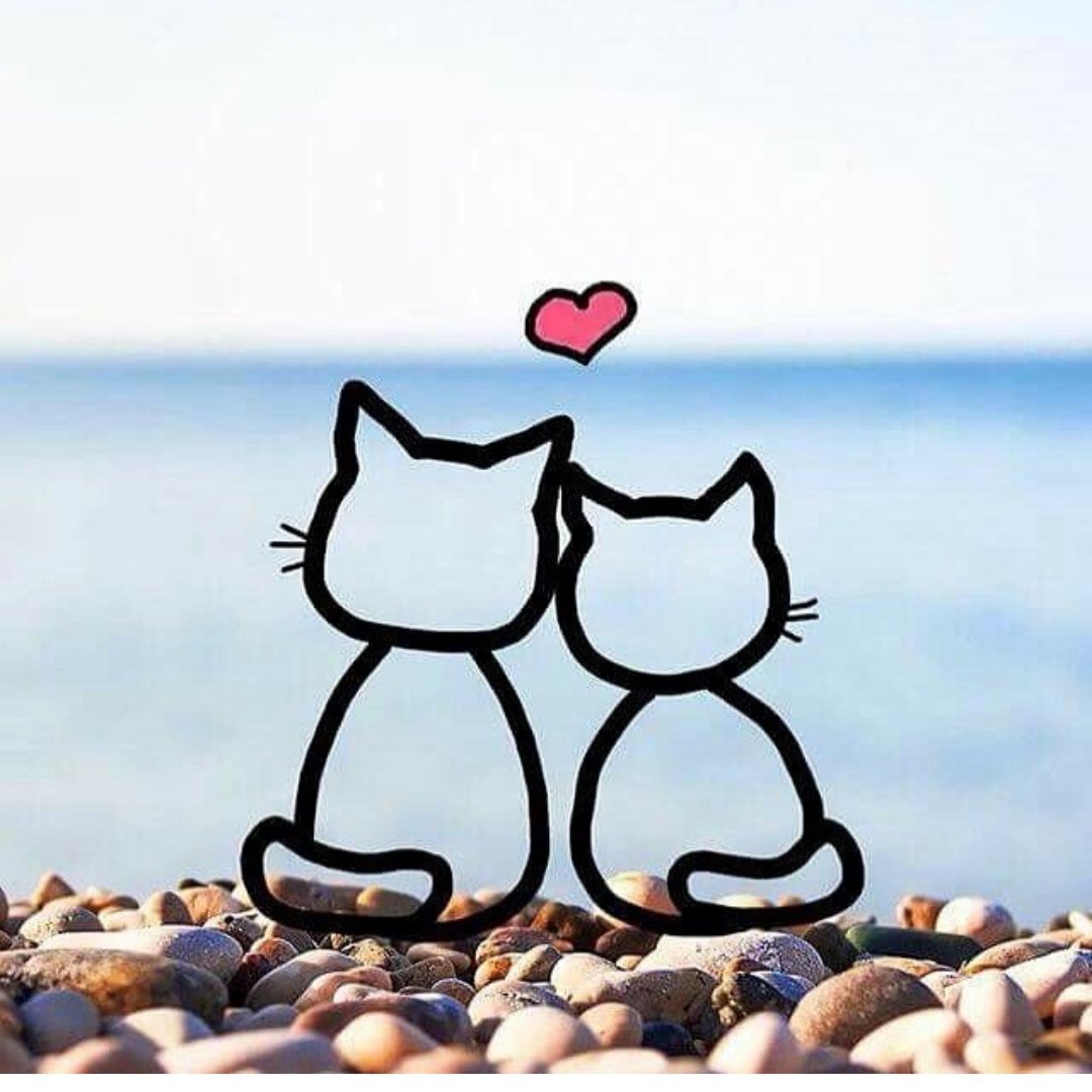 Картинки на заставку ватсап