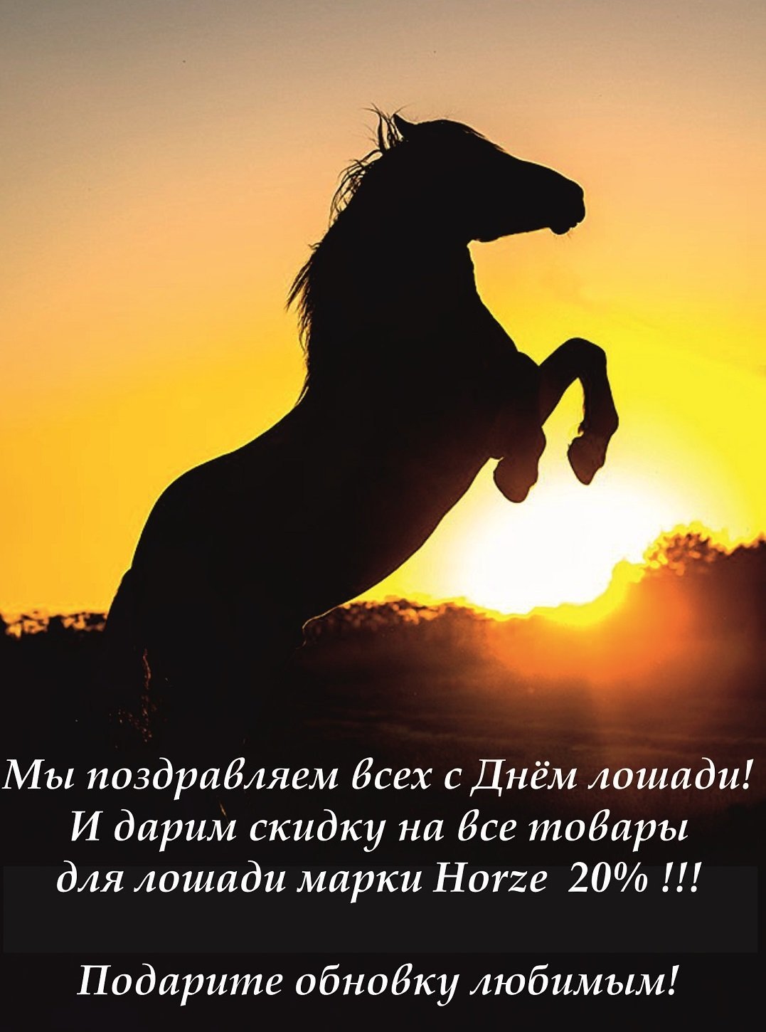 С днём рождения подруге с лошадью