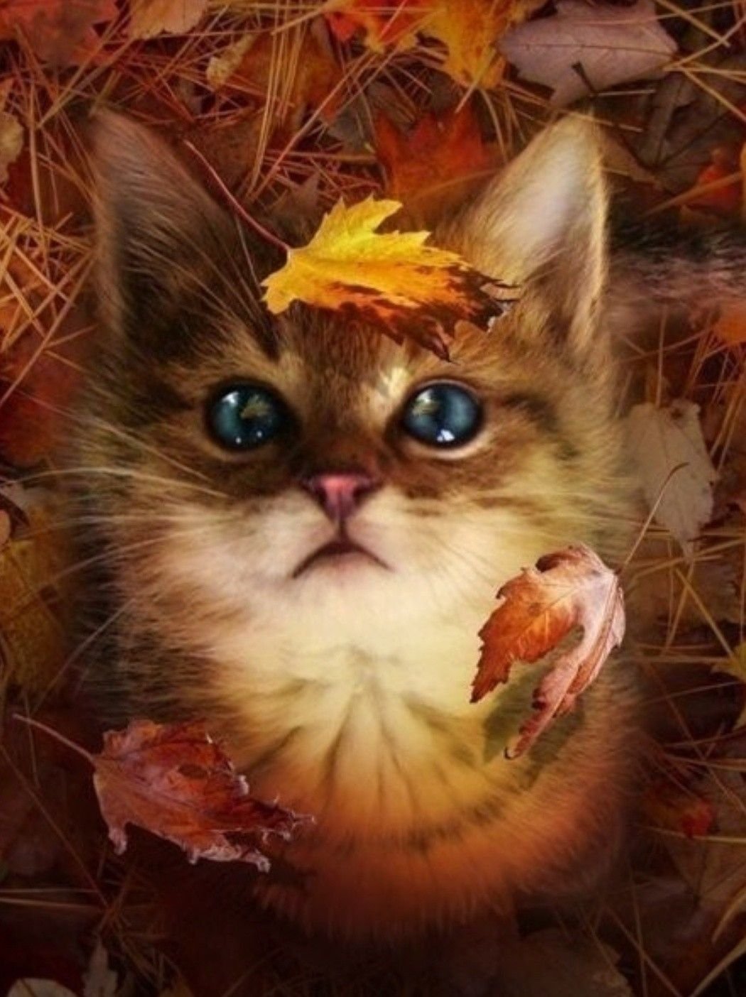 Позитивная заставка