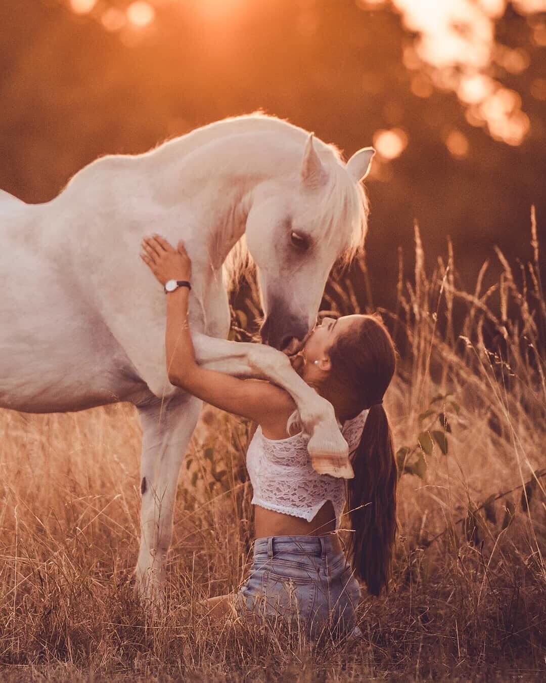 Белый конь красивые выражения