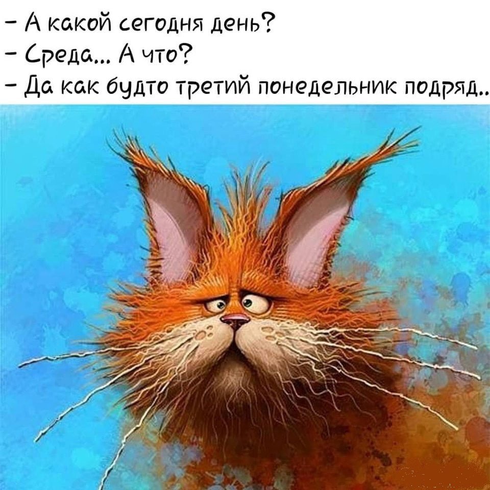 Среда юмор картинки