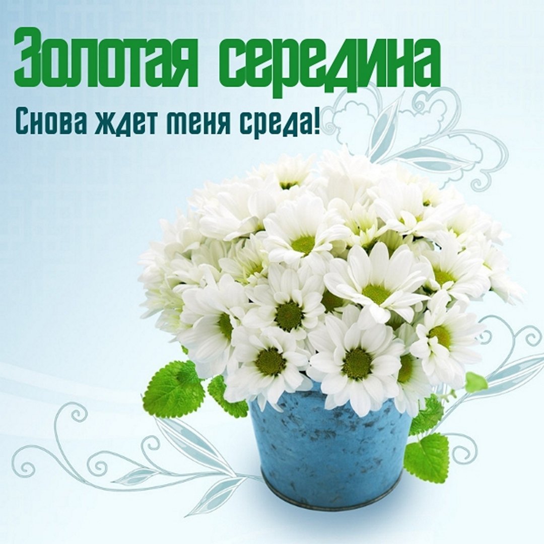 Среда Веселые картинки