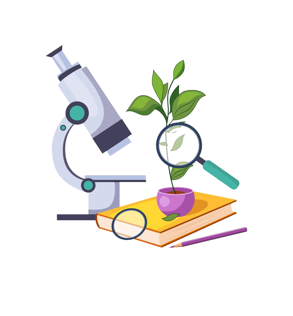 Любознательный ребенок