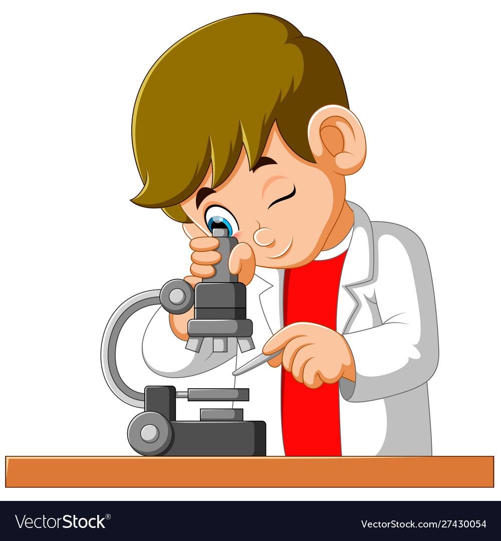 Опыты картинки для детей