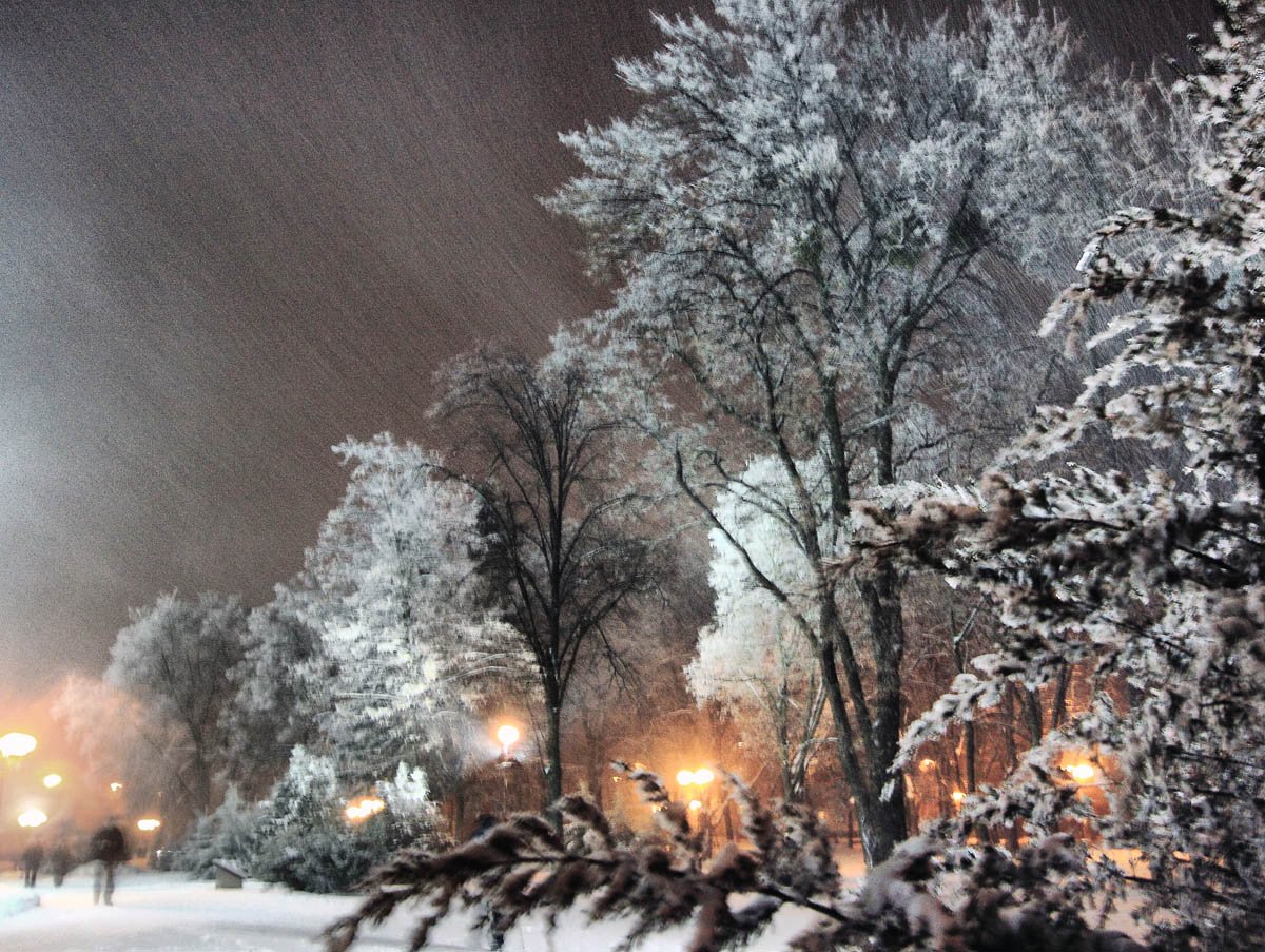 Метель зимой