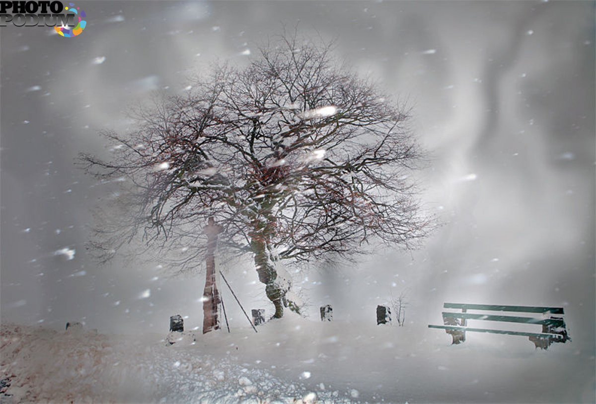 Сильный ветер зима