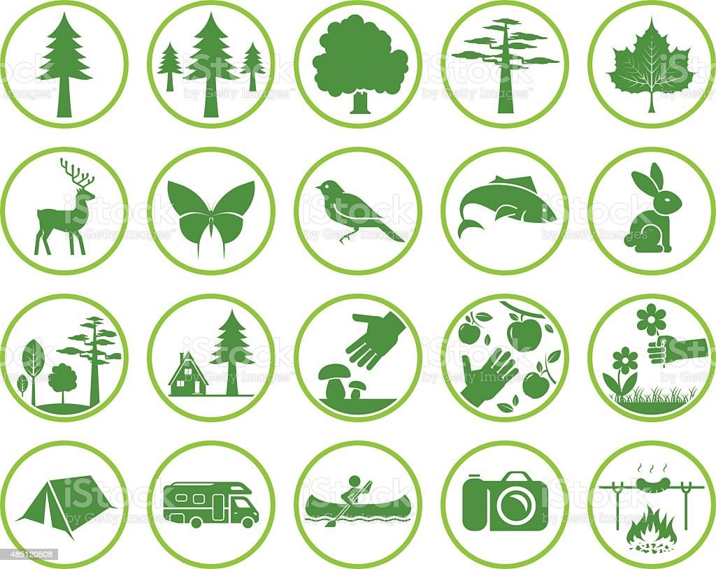 Плакат береги природу