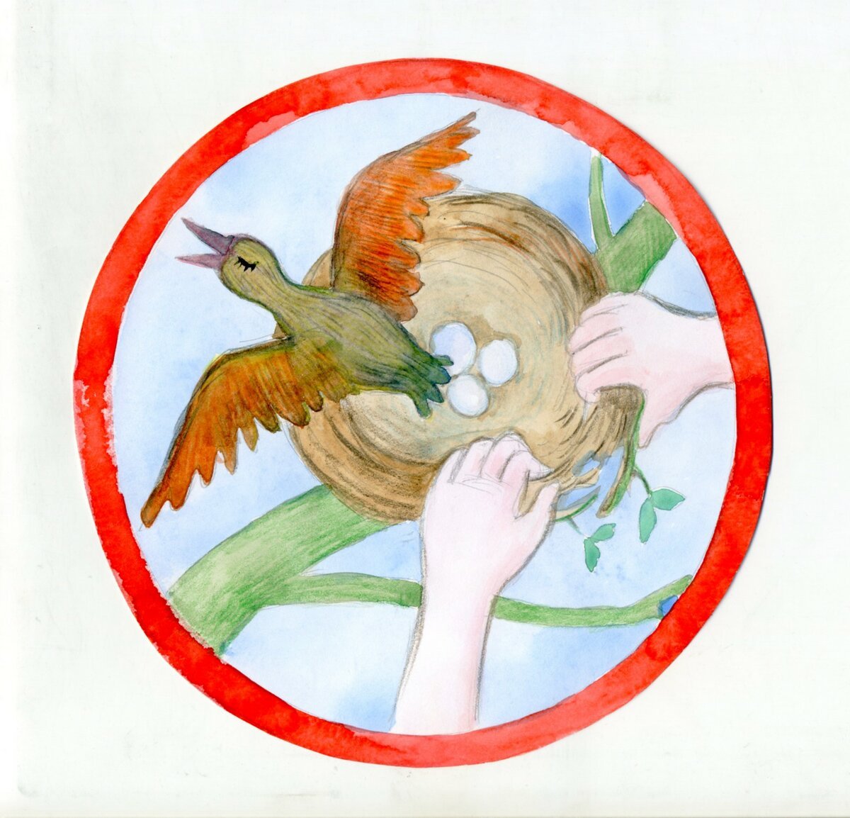 Правила поведения в лесу раскраска