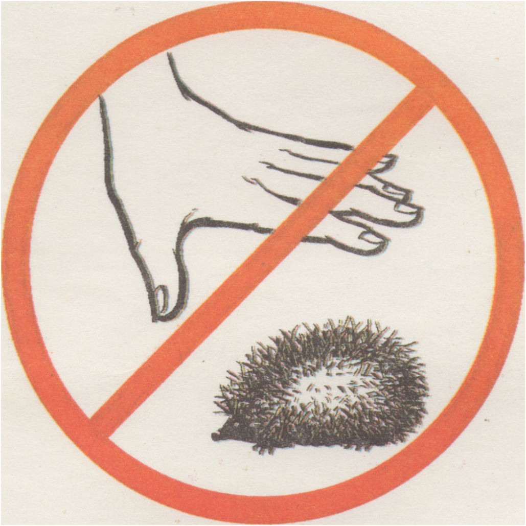 Плакат берегите природу