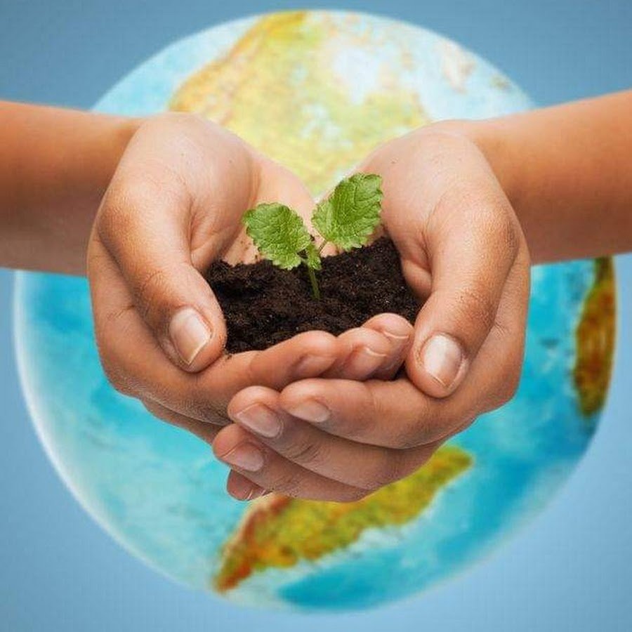 Земля в ладошках