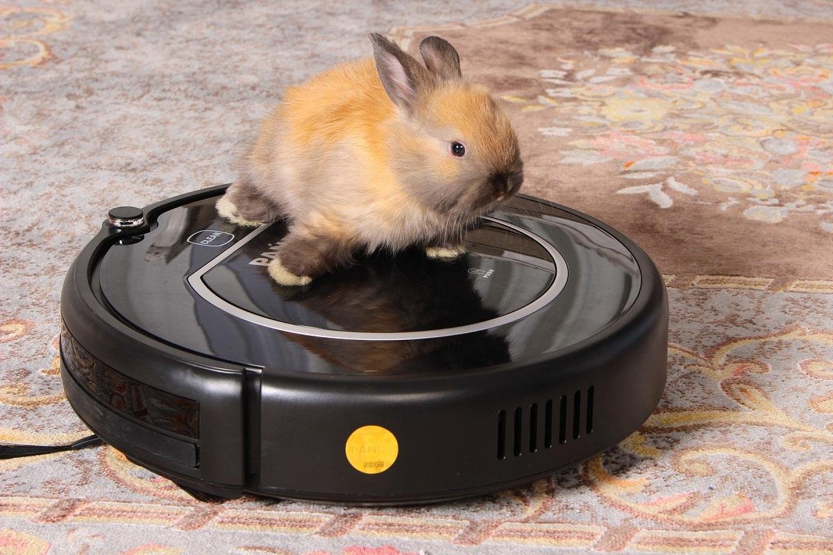 Робот пылесос прикольный