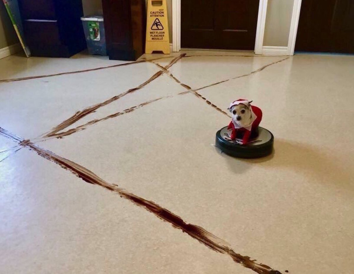 Робот пылесос и собачьи экскременты