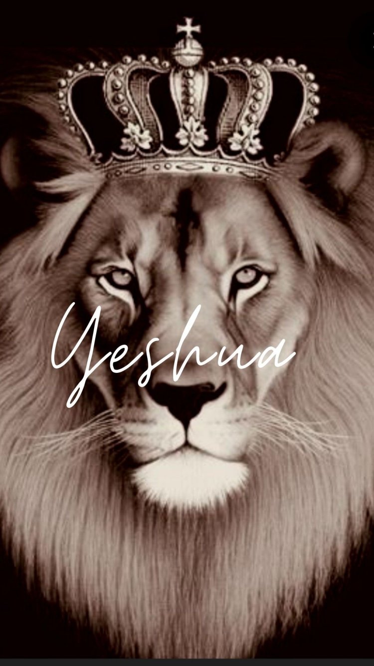 Тату Лев с короной эскизы