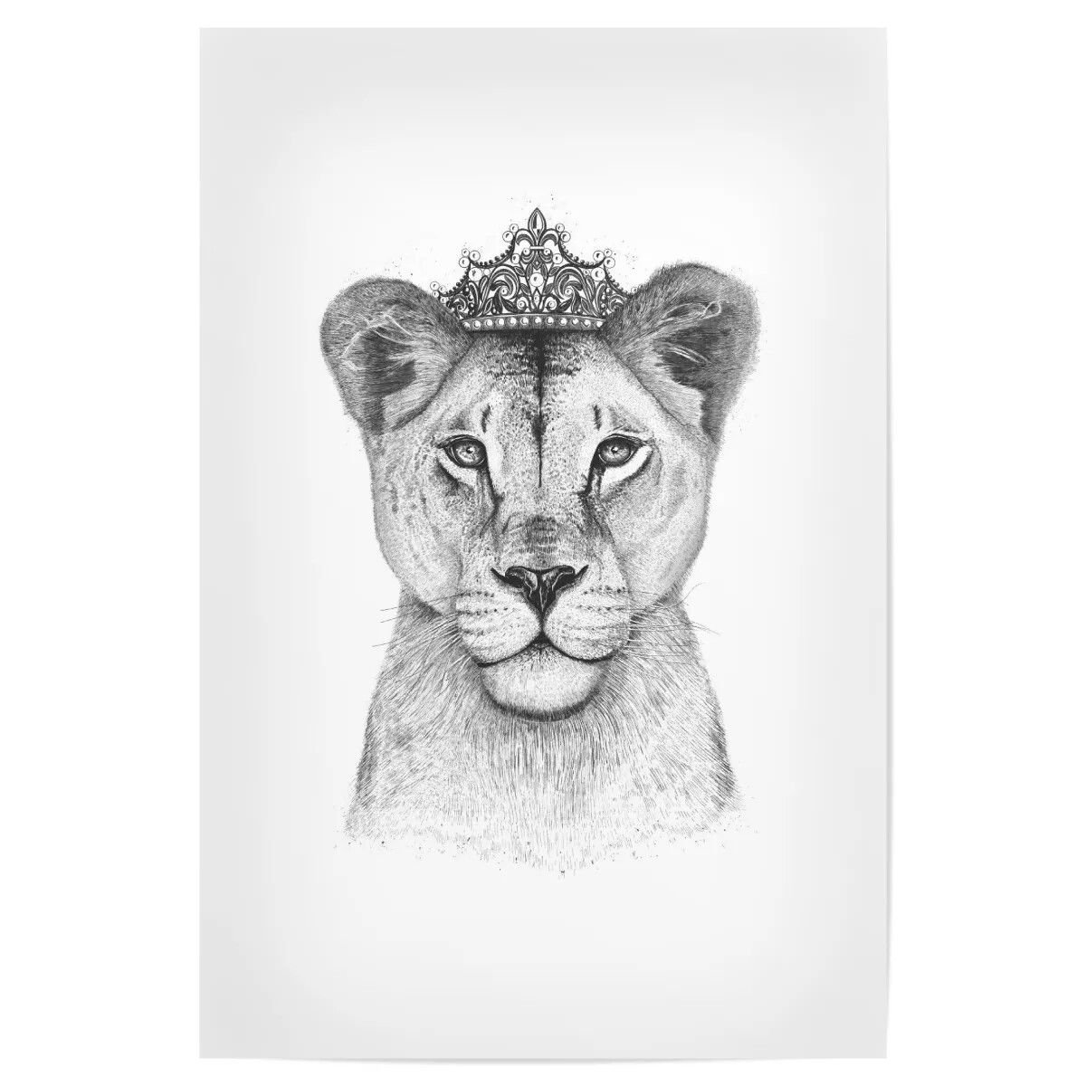 Царь Лев с короной принт