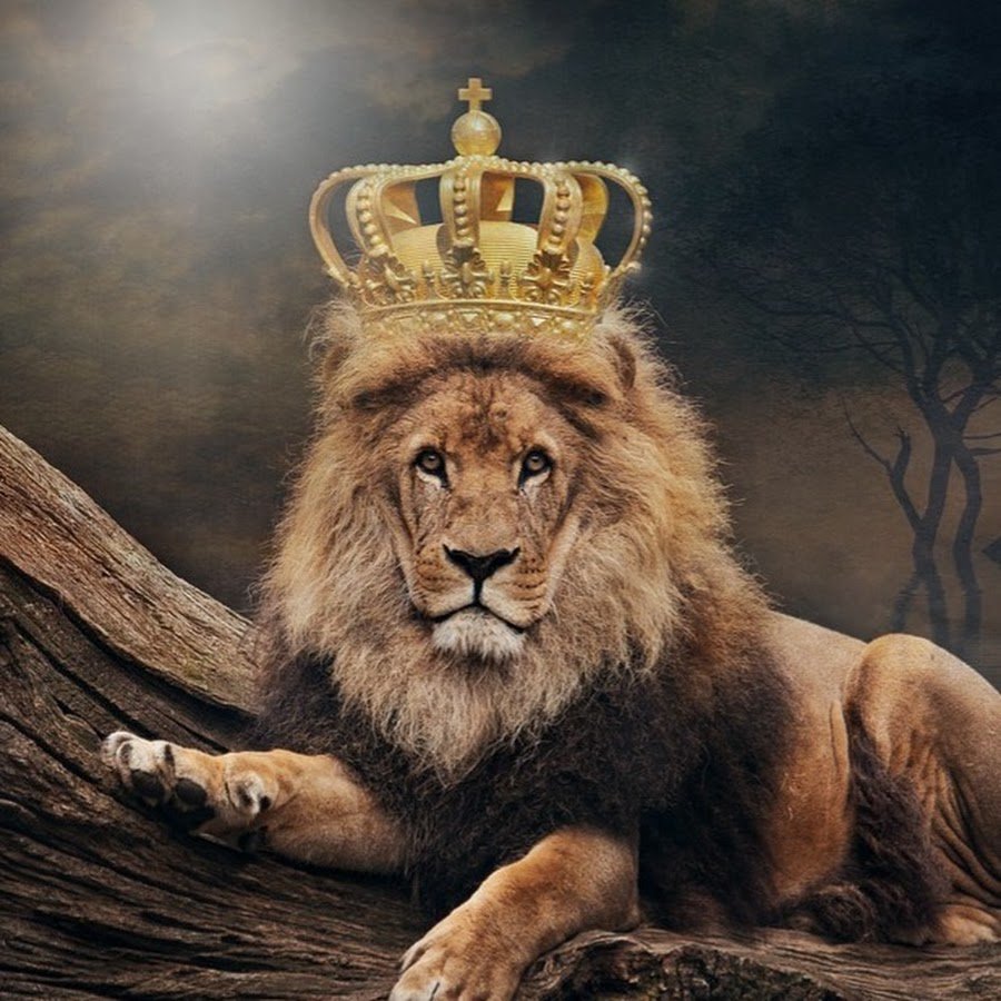 Лев тату эскиз