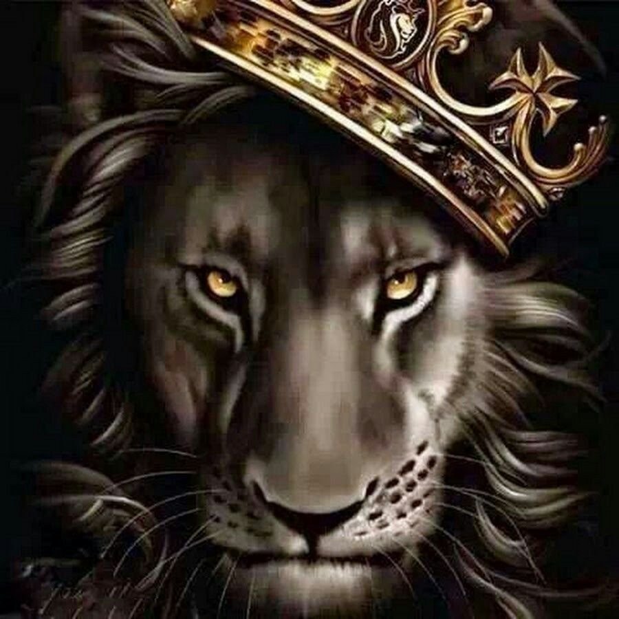 Львица Королева