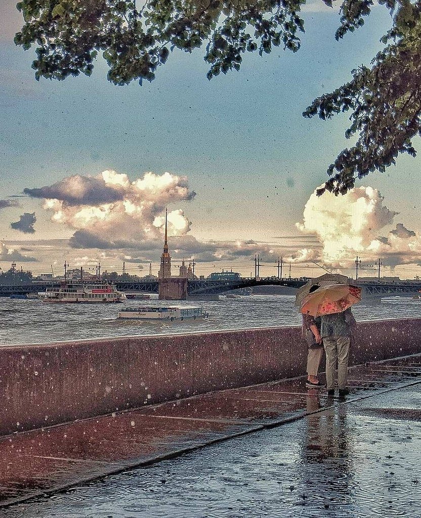 Дождливый Питер