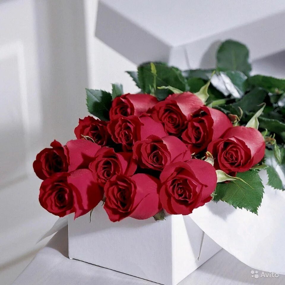 Пожелания на среду в картинках