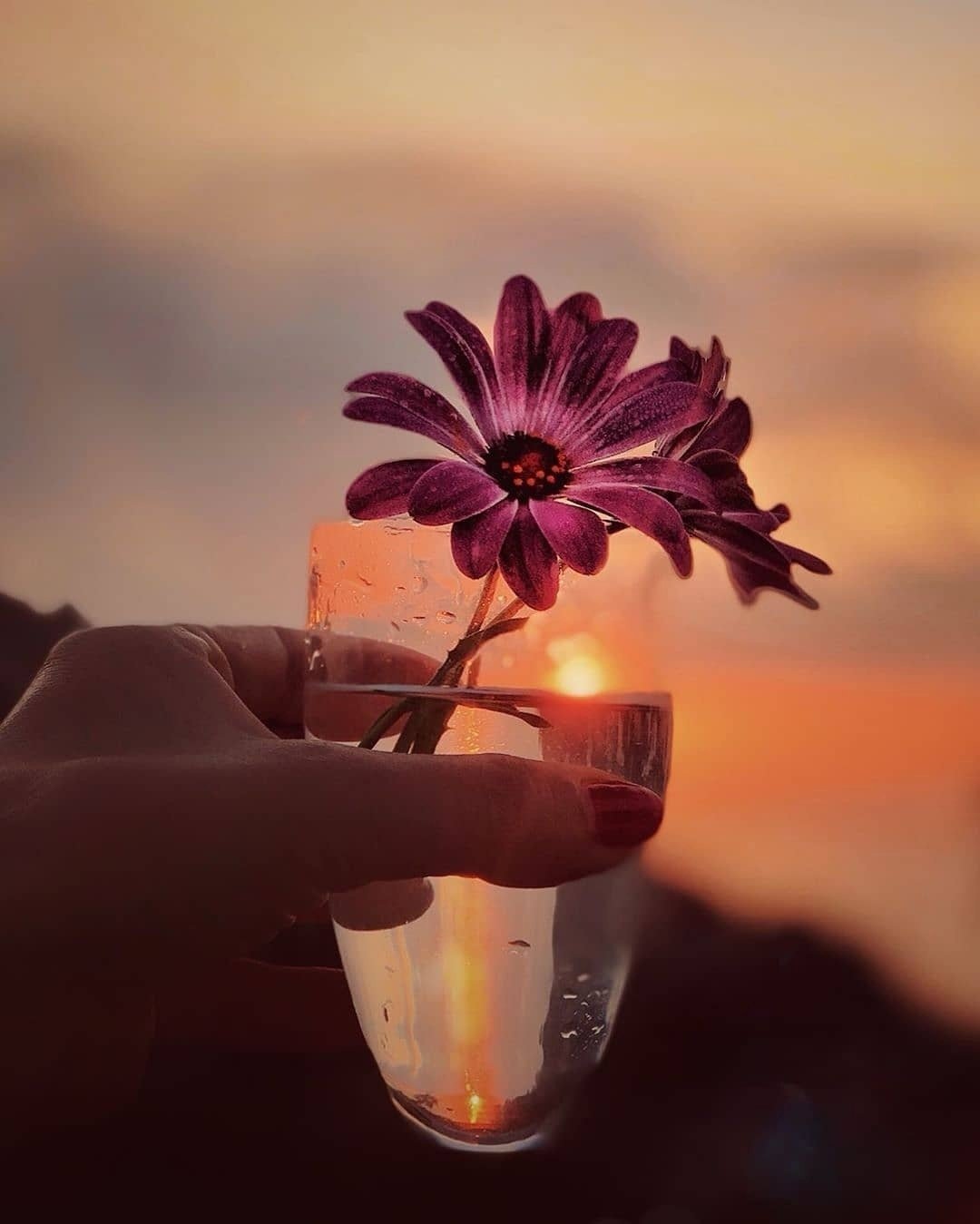 Каждый закат оставляет нам лучик надежды