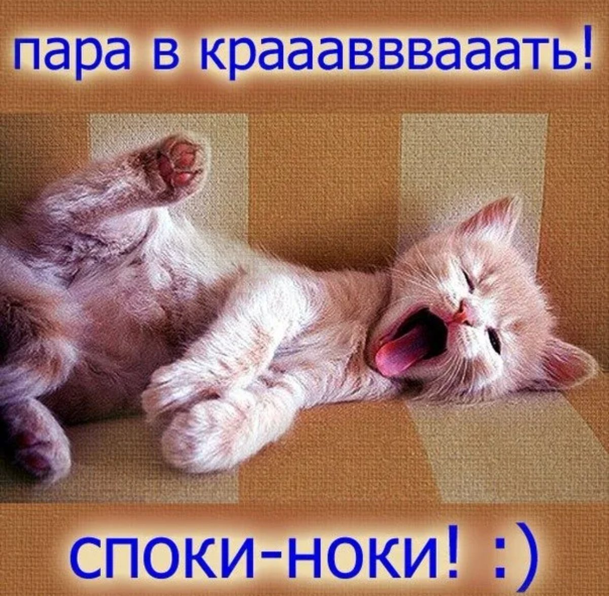 Прикольные пожелания спокойной ночи