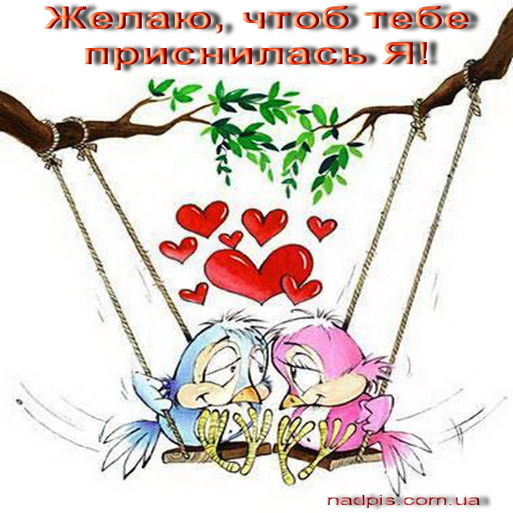 Смешные пожелания спокойной ночи