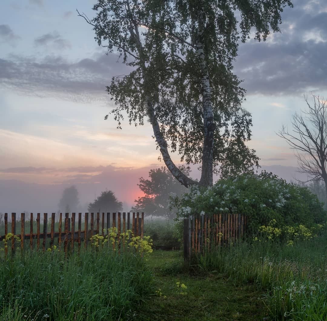 Утренний рассвет