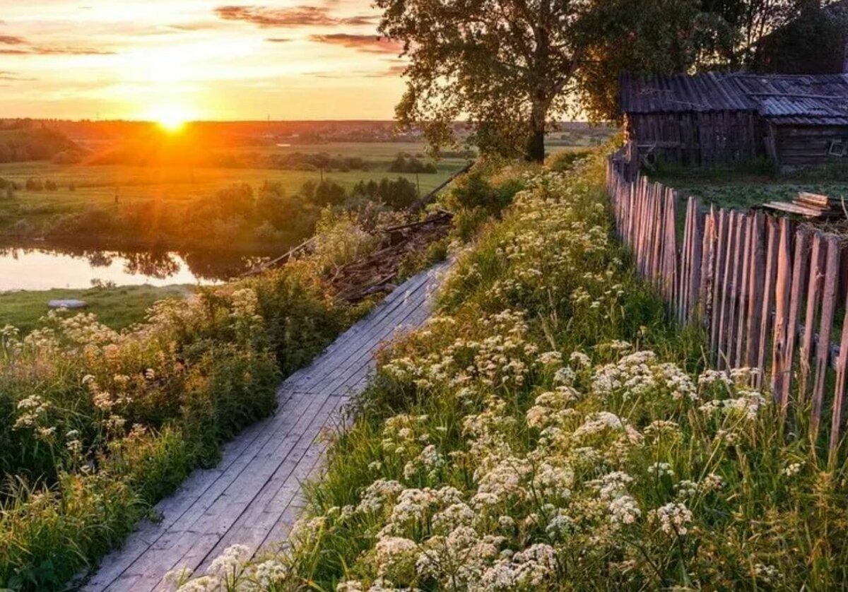 Доброе утро картинки деревня