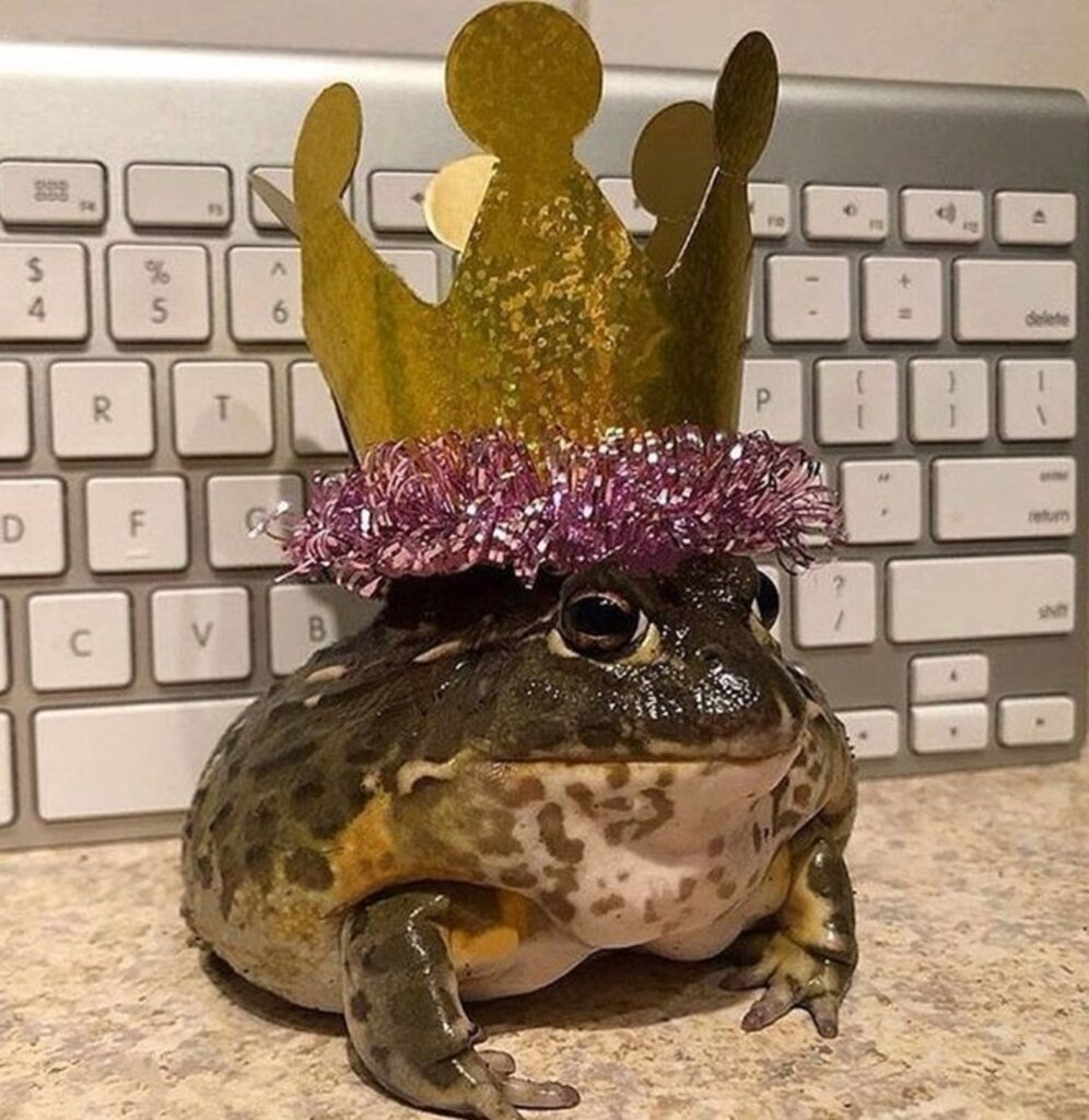 Лягушонок Пепе на аву