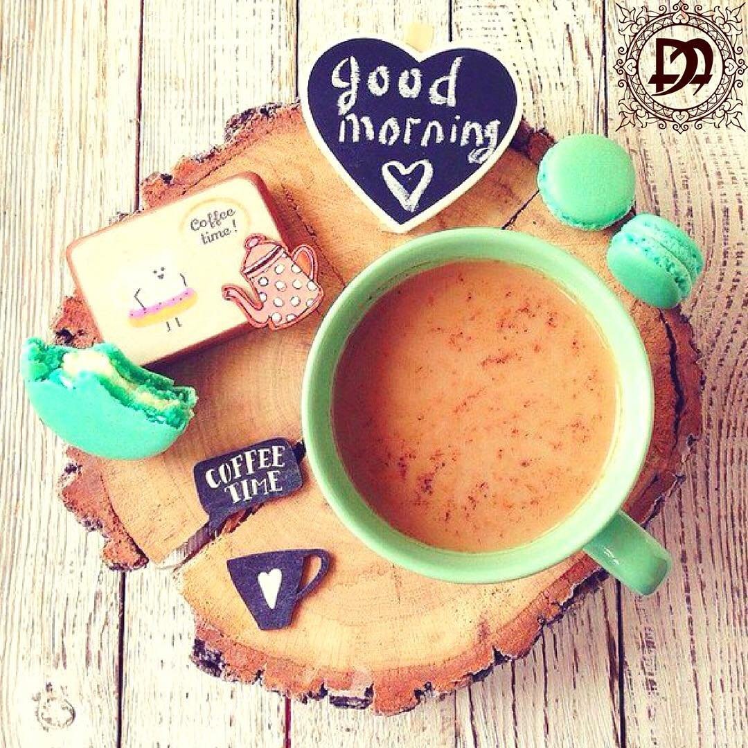 Котенок медитирует