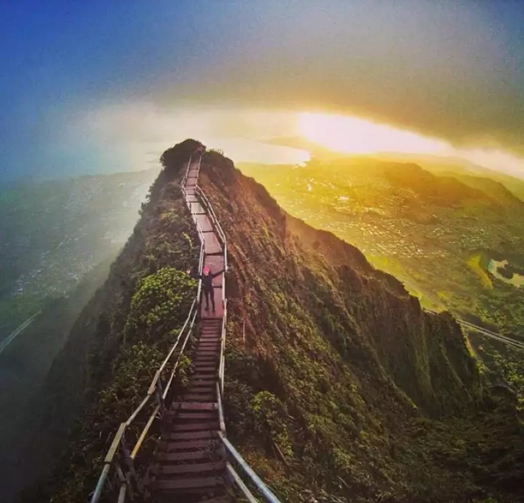 Жизненная дорога