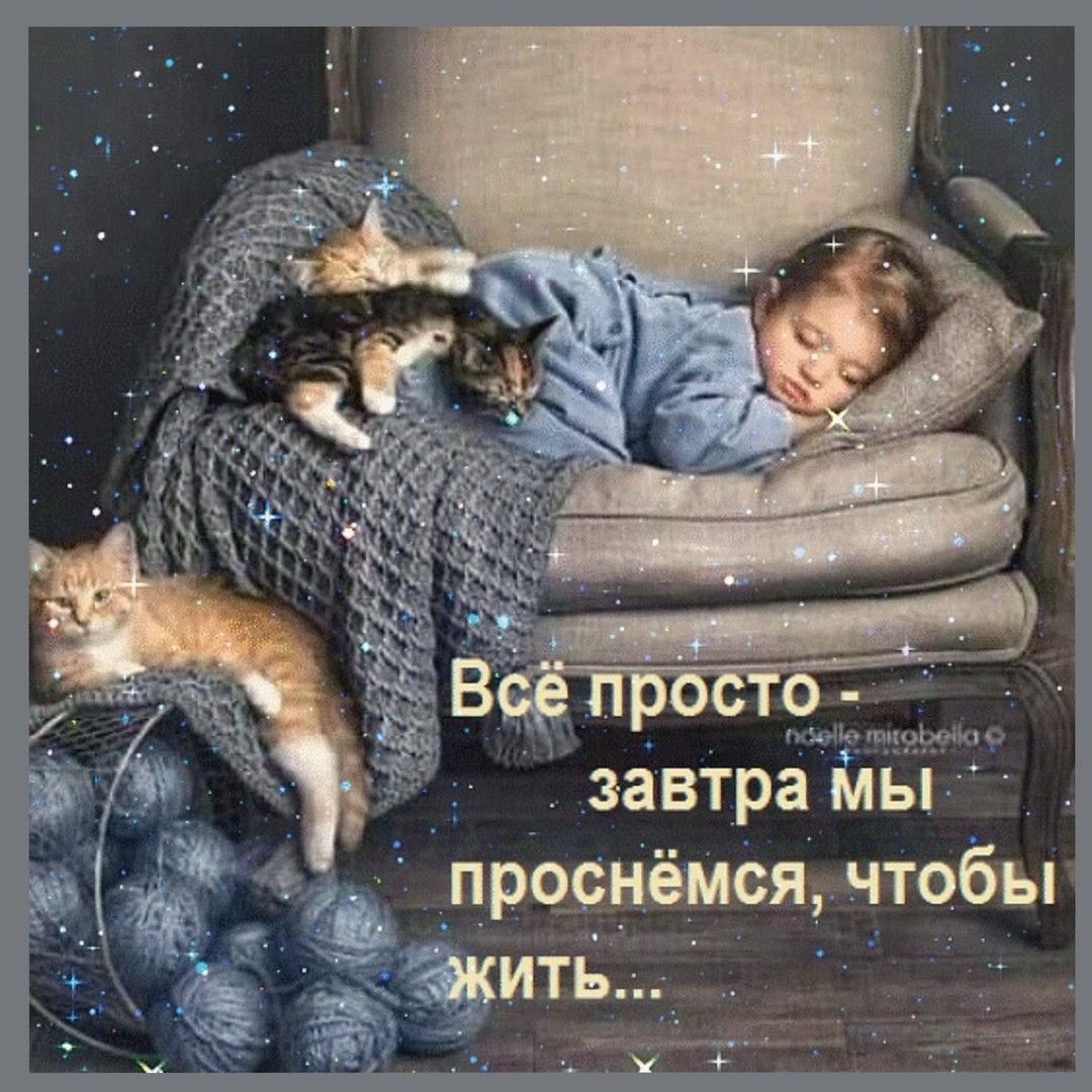 Добрых снов до завтра