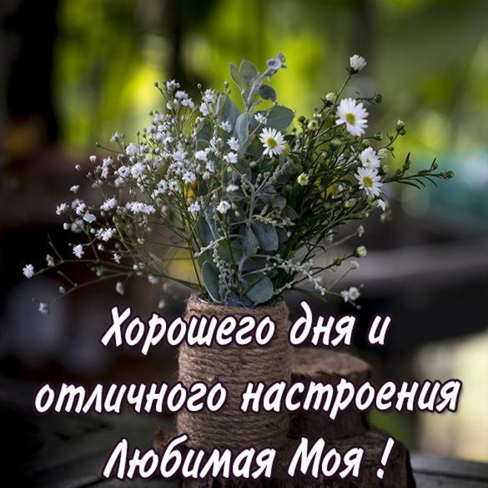 С добрым утром