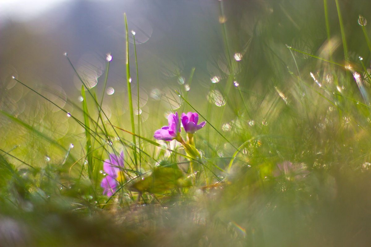 Доброе дождливое утро