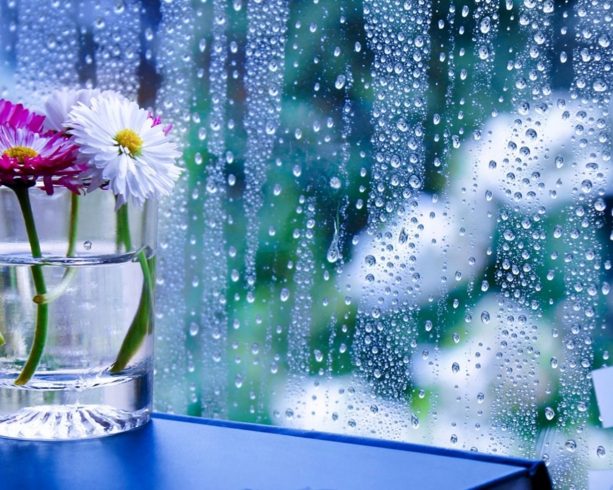 Утро Весна цветы