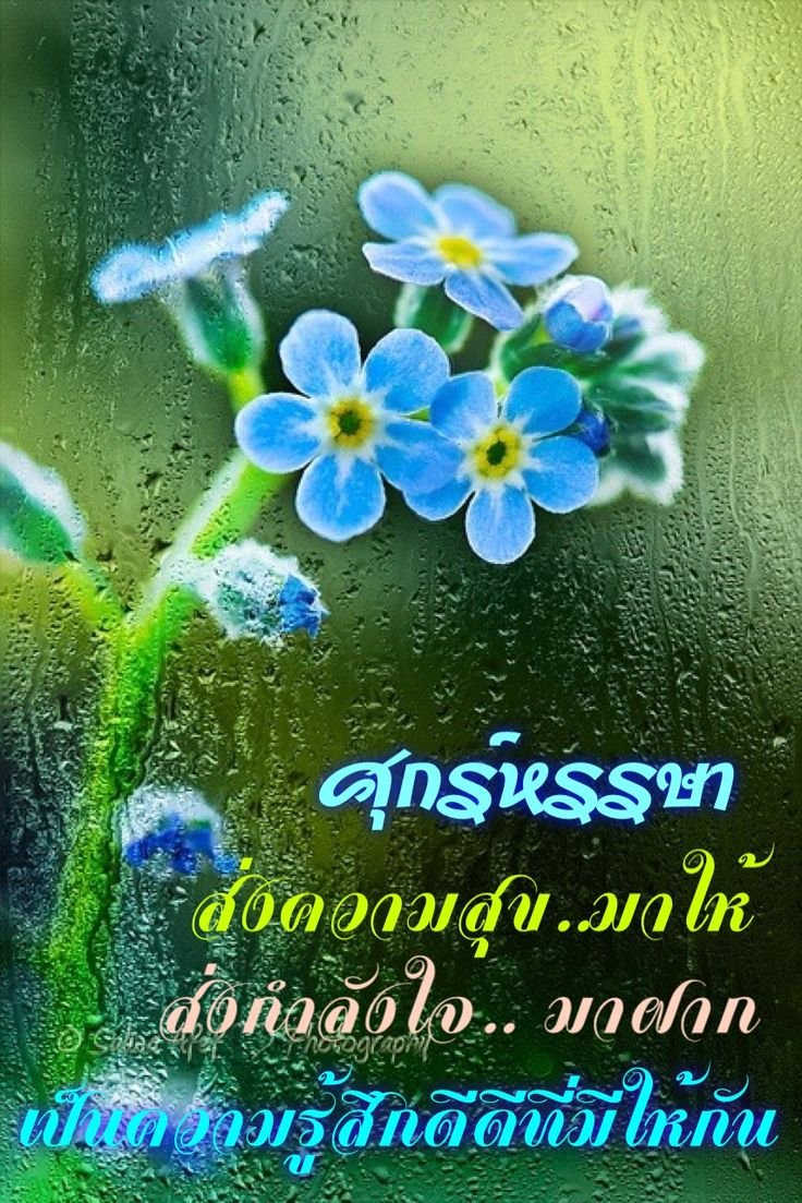 Весна солнце первая зелень